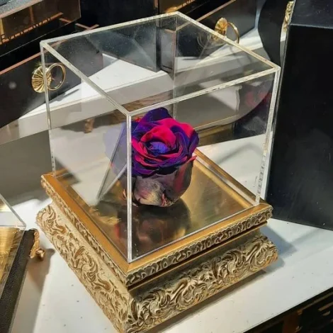 مطالب عمومی