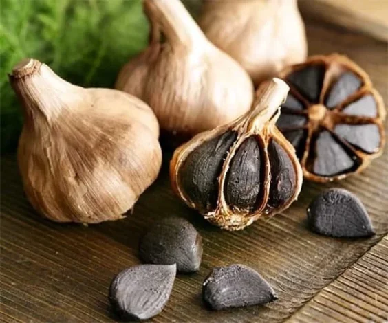 مطالب عمومی