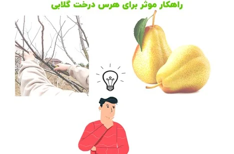 مطالب میجیک