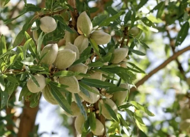 مطالب عمومی
