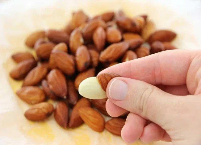 مطالب عمومی