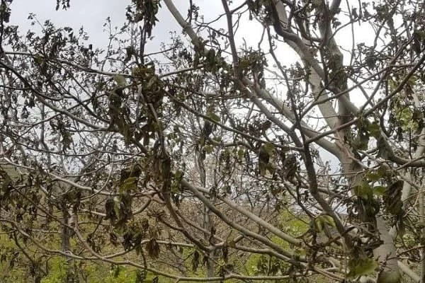 مطالب عمومی