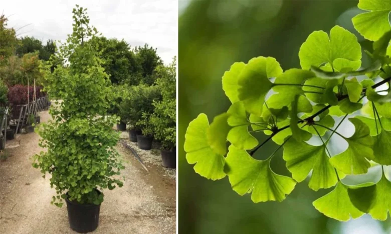 مطالب عمومی