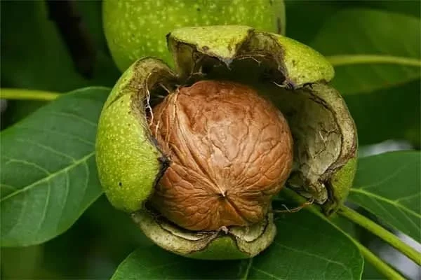 مطالب عمومی