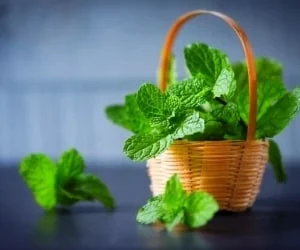 مطالب عمومی
