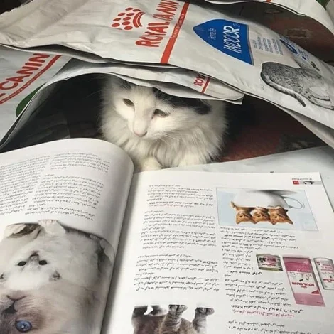 مطالب عمومی
