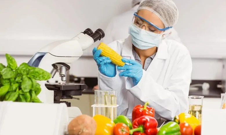 مطالب عمومی How is the food industry job market?
