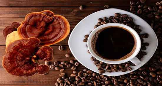 How to use Mocha Ganoderma coffee