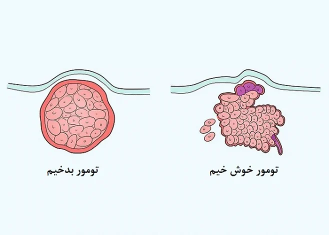 مطالب عمومی