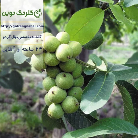 مطالب عمومی