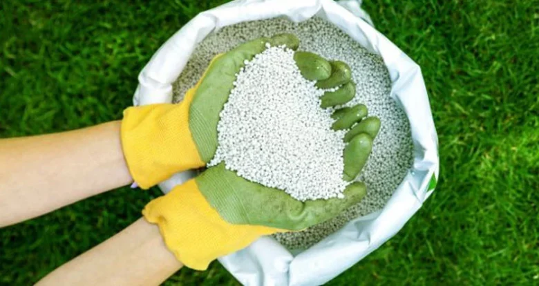مطالب عمومی مطالب عمومی