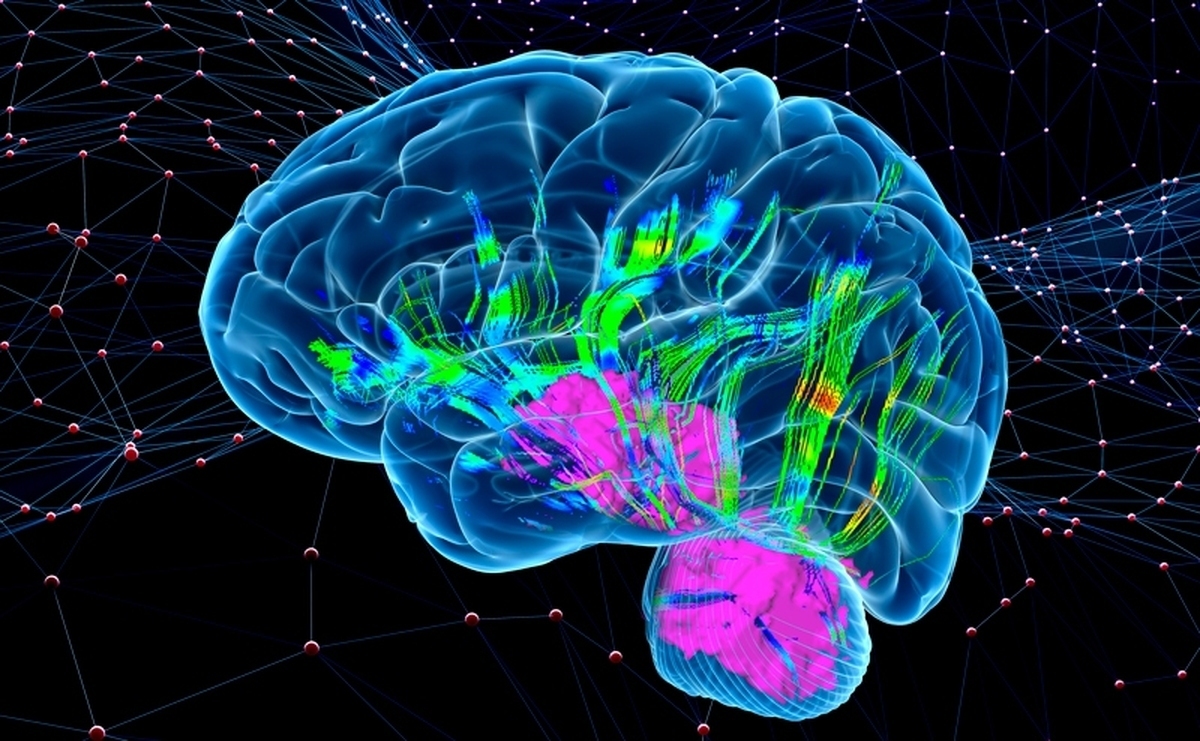 1500 پیشنهاد دانشجویی را در آزمایشگاه ملی نقشه برداری مغز انجام داد