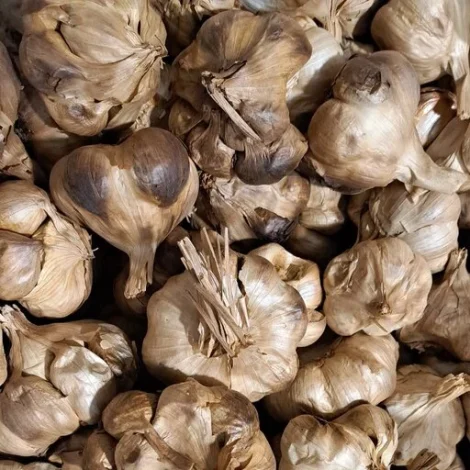 مطالب میجیک مطالب میجیک