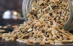 مطالب عمومی مطالب عمومی