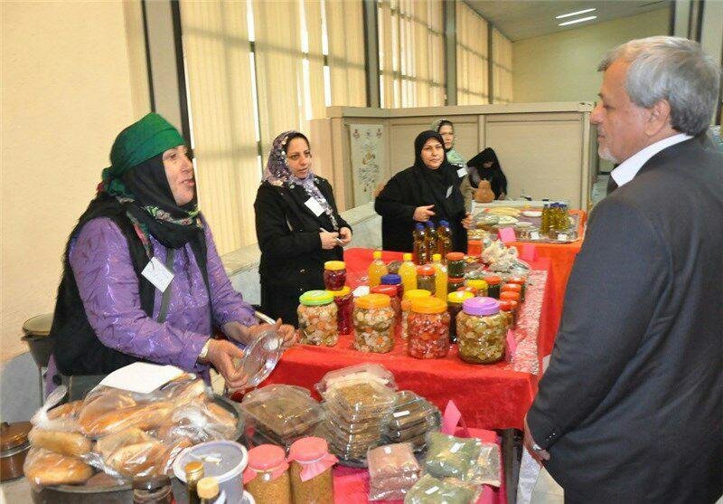 توانمندسازی زنان روستایی و عشایر با تقویت سواد دیجیتال - خبرگزاری مهر | اخبار ایران و جهان