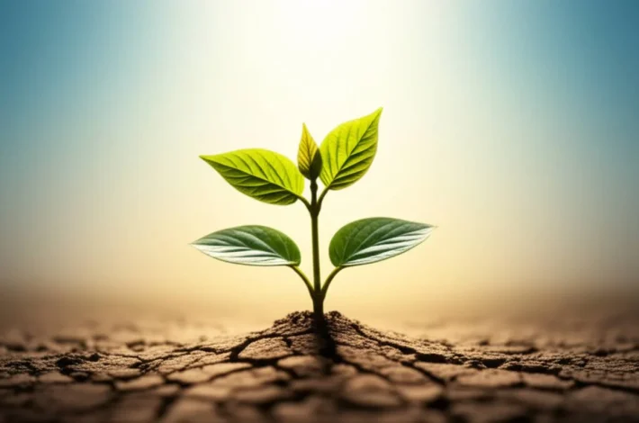 فیلم و سریال فیلم و سریال